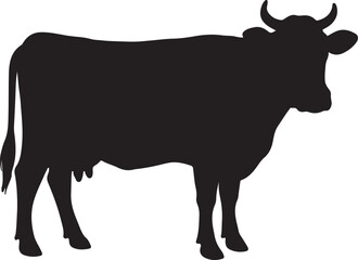 Cow vector illustration on white background, silhouette, line art, outline, icon black and white