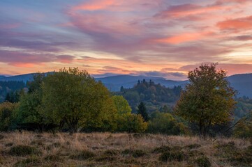 Colorful autumn sky at sunrise, spruce trees and hills with forest, dry grass in the meadow. Autumn landscape and wild nature.
