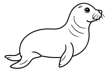 Linear Seal Sketch