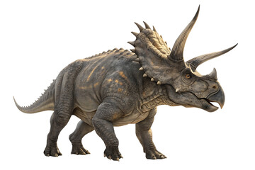 Detailed Image of an Armored Dinosaur isolated on white background