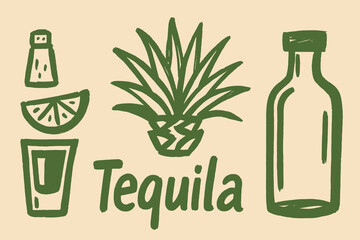 Tequila bottle and agave hand drawn sketch icon