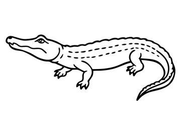 Wild Crocodile Vector Sketch