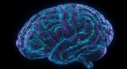 Human Brain Neural Network, Digital Anatomy, 3D Model, Neuroscience, Cognitive Science