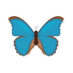 Butterfly Icon Vector Design.