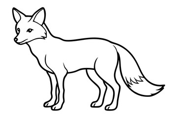 Wild Fox Sketch Vector