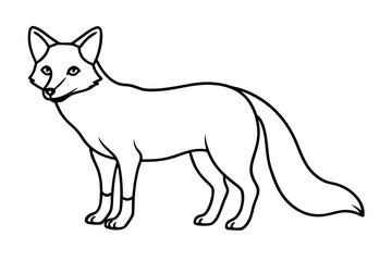 Wild Fox Sketch Vector