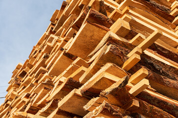 Wooden planks are arranged in a neat stack under a clear blue sky, showcasing the texture of the wood and bark