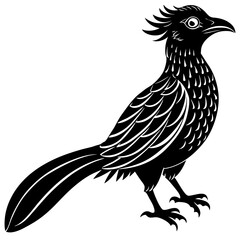 koel bird silhouette