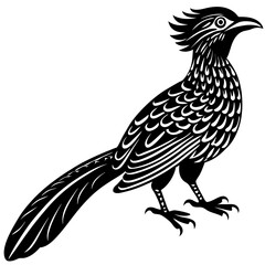 koel bird silhouette