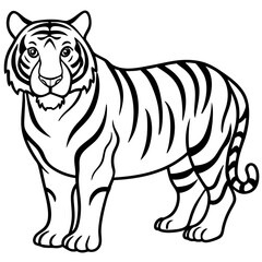 black and white tiger line art
