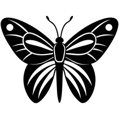 butterfly vector illustration