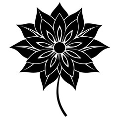 black and white flower