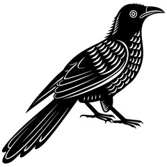 koel bird silhouette