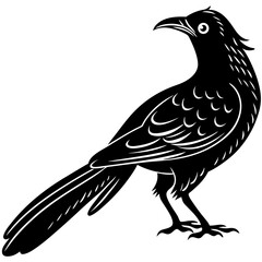 koel bird silhouette