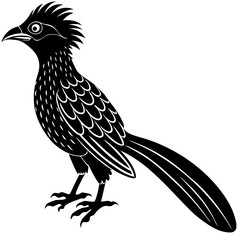 koel bird silhouette