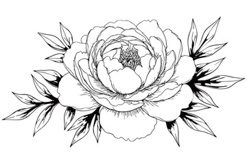  vector illustration of a blooming peony flower with detailed petals and surrounding leaves, perfect for tattoos, wedding invitations, botanical art, and decorative design.