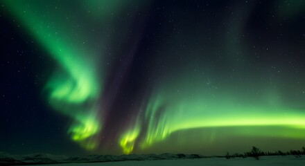 Aurora borealis northern lights green sky night stars landscape nature travel photography scenic view 100