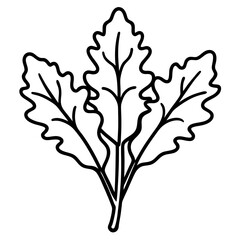 Fototapeta premium Arugula icon art vector