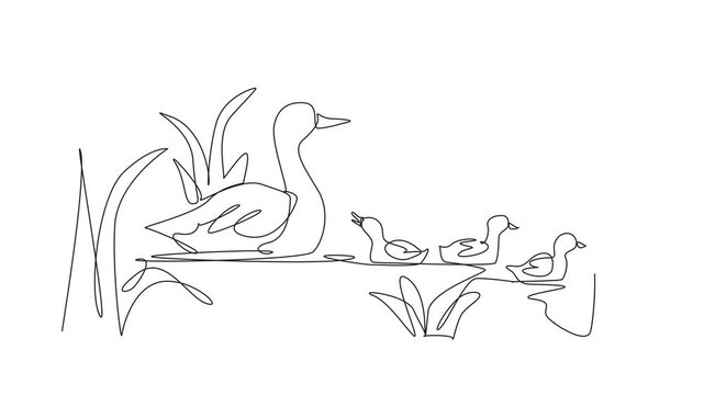 Self drawing animation of single line drawing a duckling family enjoying a peaceful day in a wetland. The importance of preserving vital ecosystems. Balance. World Wetlands Day. Full length animated