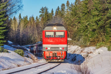 Passenger train moves in the forest at winter.