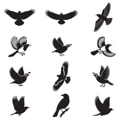 Obraz premium Dynamic Bird Vector Set with Flying, Perching, and Standing Poses in Bold Styles A stunning collection of birds in energetic poses, ideal for creating impactful wildlife and nature designs .Thank You.