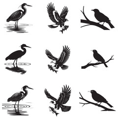 Obraz premium Dynamic Bird Vector Set with Flying, Perching, and Standing Poses in Bold Styles A stunning collection of birds in energetic poses, ideal for creating impactful wildlife and nature designs .Thank You.