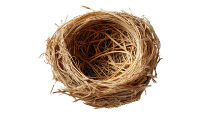 Obraz premium Empty Bird Nest: A detailed close-up of an empty bird's nest, showcasing its intricate woven structure of twigs and grass. The nest is meticulously crafted, suggesting the bird's diligence and care.