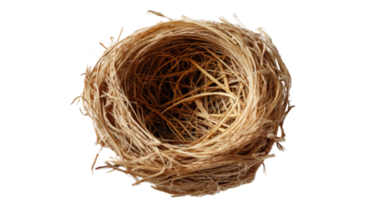 Empty Bird Nest: A detailed close-up of an empty bird's nest, showcasing its intricate woven structure of twigs and grass.  The nest is meticulously crafted, suggesting the bird's diligence and care.