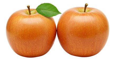 Isolated Pair of Honeycrisp Apples with Stem and Leaf
