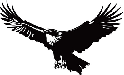 Obraz premium Black Eagle Descending with Open Wings