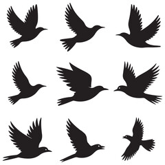 Dynamic Bird Vector Set with Flying, Perching, and Standing Poses in Bold Styles A stunning collection of birds in energetic poses, ideal for creating impactful wildlife and nature designs .Thank You.