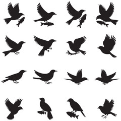 Obraz premium Dynamic Bird Vector Set with Flying, Perching, and Standing Poses in Bold Styles A stunning collection of birds in energetic poses, ideal for creating impactful wildlife and nature designs .Thank You.