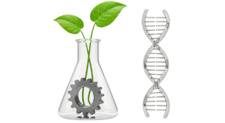 Isolated Scientific Laboratory Beaker Plant DNA