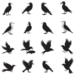 Obraz premium Dynamic Bird Vector Set with Flying, Perching, and Standing Poses in Bold Styles A stunning collection of birds in energetic poses, ideal for creating impactful wildlife and nature designs .Thank You.