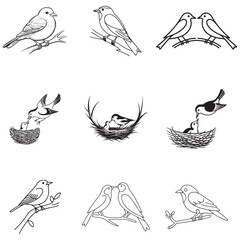 Dynamic Bird Vector Set with Flying, Perching, and Standing Poses in Bold Styles A stunning collection of birds in energetic poses, ideal for creating impactful wildlife and nature designs .Thank You.