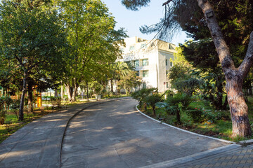 Shady alley at the entrance to the beautiful hotel 