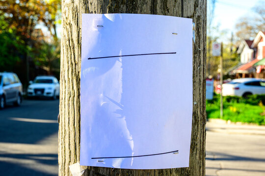 Blank handbill stapled to a wooden utility pole out of focus street scene in background room for text white paper 8.5 by 11 blank