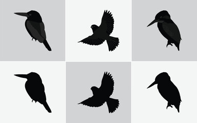 Six Minimalist Black Bird Silhouette Illustrations: Vector Icons for Web and Print Design, Black Bird Silhouettes Vector Set: Includes Finch, Sparrow, and Bunting Style Icons
