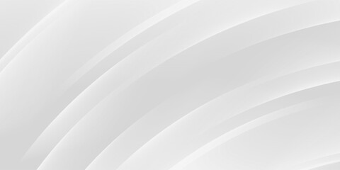 Abstract minimalist white and gray curve modern background. texture white pattern. vector illustration