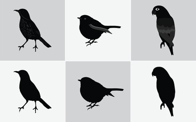Six Minimalist Black Bird Silhouette Illustrations: Vector Icons for Web and Print Design, Black Bird Silhouettes Vector Set: Includes Finch, Sparrow, and Bunting Style Icons