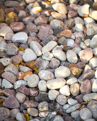 Colorful River Stones in Natural Sunlight