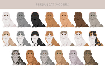 Persian Cat longhaired clipart. Modern type persian cat. All coat colors set.  All cat breeds characteristics infographic. Vector illustration