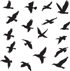 Silhouette Birds in Flight: Black Vector Illustrations on White Background