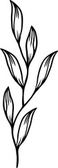 Elegant Hand-Drawn Botanical Line Art: Simple Floral Sprig