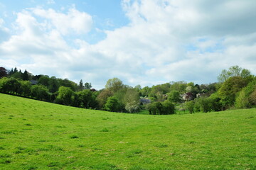 Scenic view of a lush green farmland field in a valley with leafy trees beyond and vivid blue sky with white fluffy clouds above