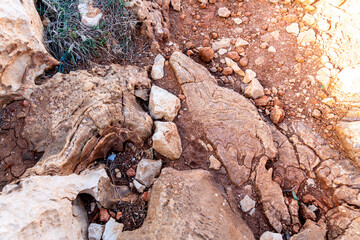 Fossil-Like Limestone Pattern near Capo Caccia