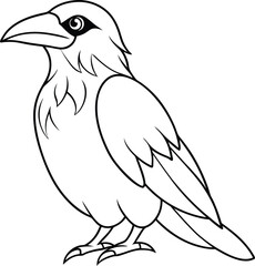 hand drawn crow outline illustration 