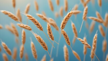 Fototapeta premium A serene close-up of golden wheat stalks swaying gently against a bright blue sky.