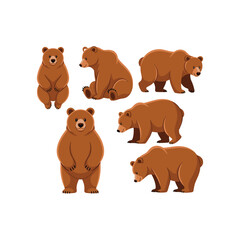 Cute flat bear. Cartoon forest wild animals in different poses vector on white background