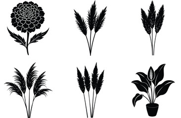 Black silhouette of tropical palm trees and leaves vector illustration set for nature-inspired summer designs and floral art